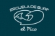Escuela de Surf El Pico