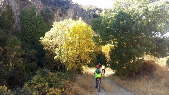 Salida en bicicleta