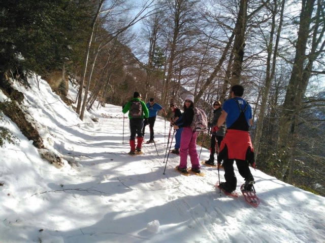  Avec des raquettes dans la Pineta 