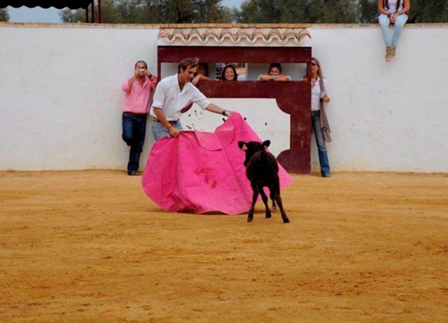 Con la vaquilla en la plaza de tientas