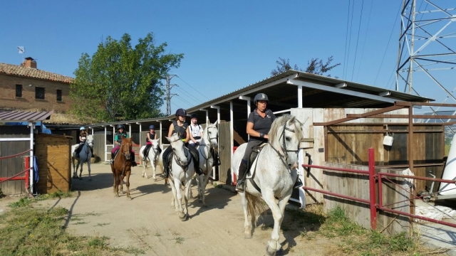 Saliendo de ruta con los ninos