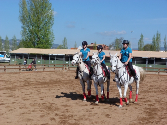Clases de doma, hipoterapia y horseball