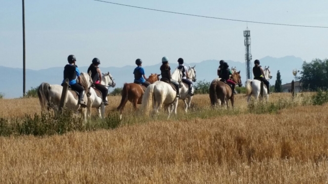 Ruta a caballo por Vic