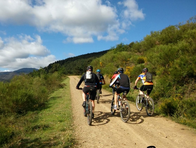 Bicis alquiladas de btt