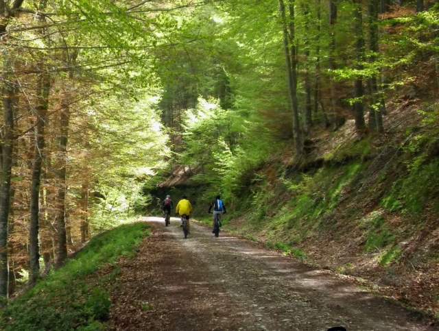 En bici por la Sierra de la Demanda