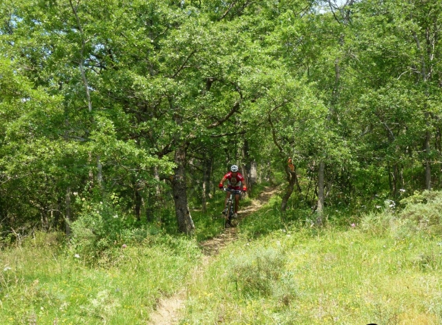 Pedaleando en los bosques riojanos