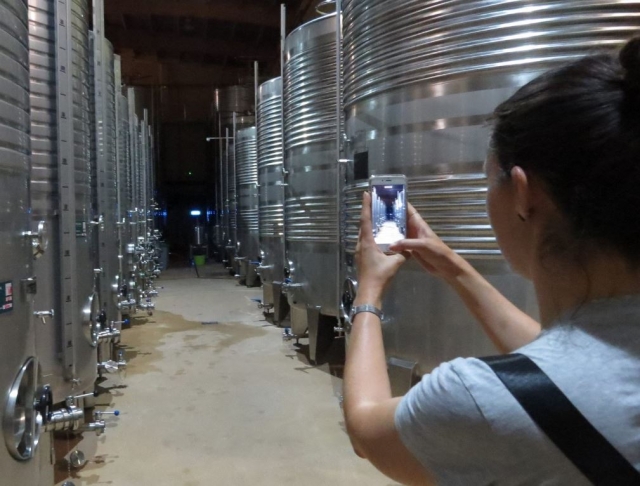 Tomando fotos de la bodega