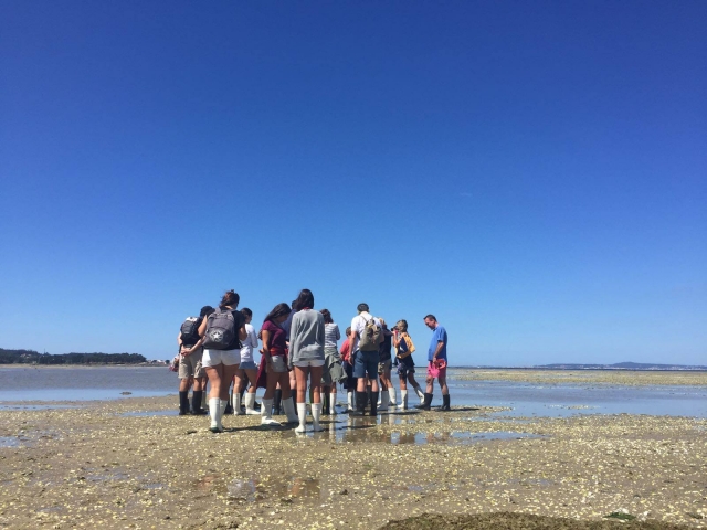Paseando con botas de agua donde se busca el marisco
