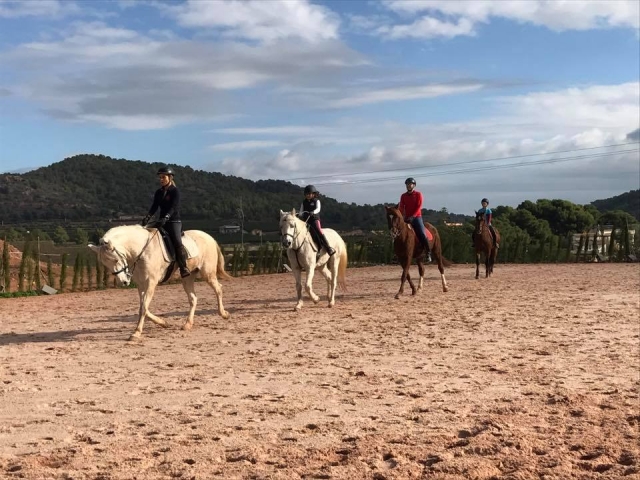  Horse riding in Betera 