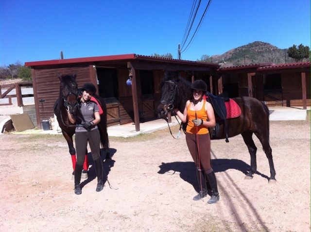  Learning to ride a horse 