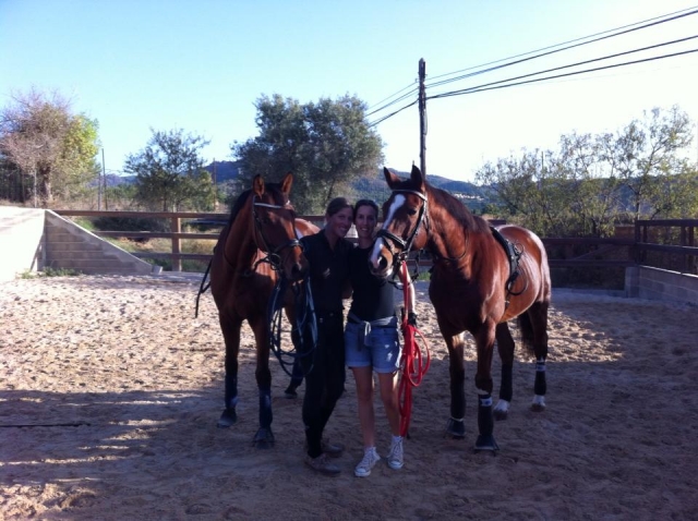  Getting to know the horses in the camp 