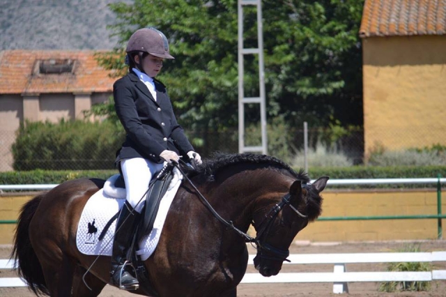  Dressage course 