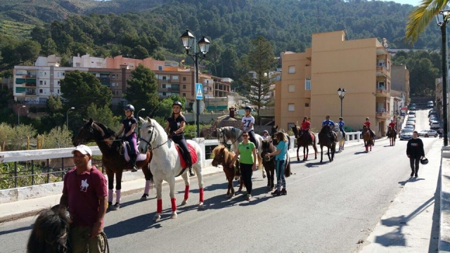  Horses in the municipality of Naquera 