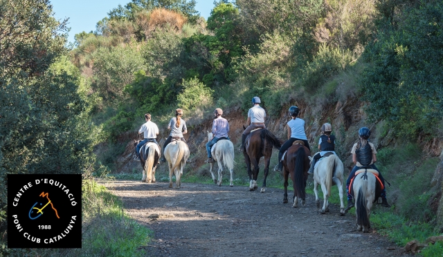 Pbaños a caballo