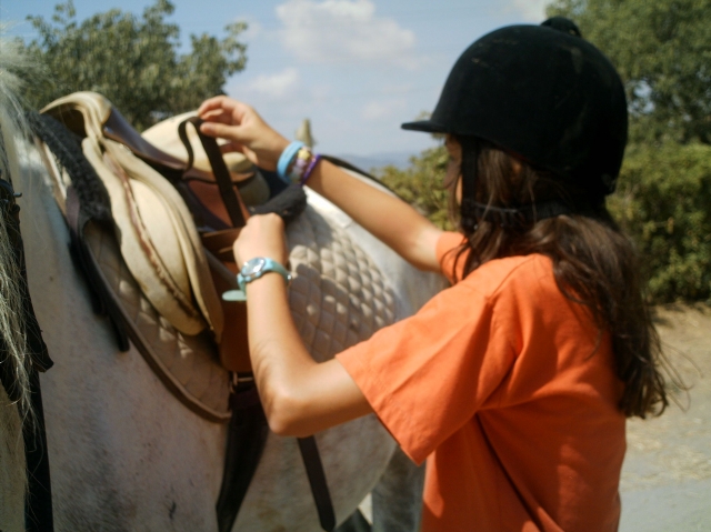 poniendo la silla