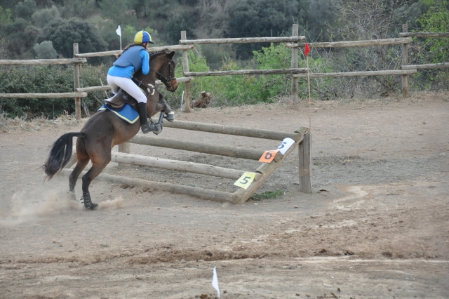 clase hipica