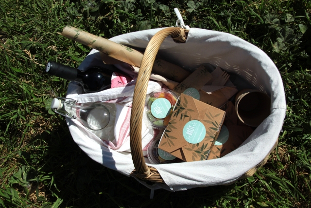pequeno picnic