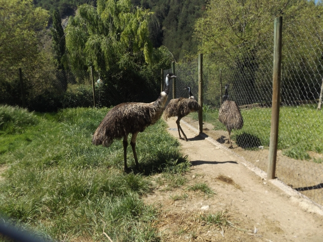 Parque zoológico