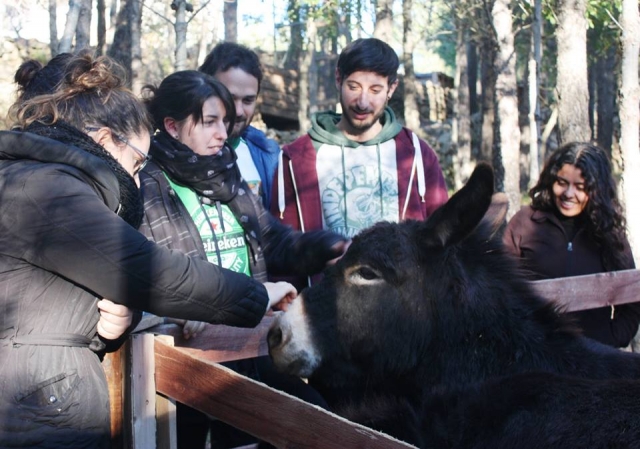 Interactuando con el burro