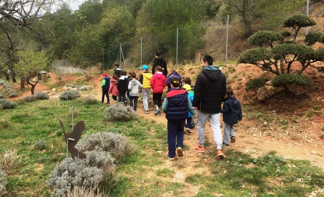 Paseando por el parque zoológico