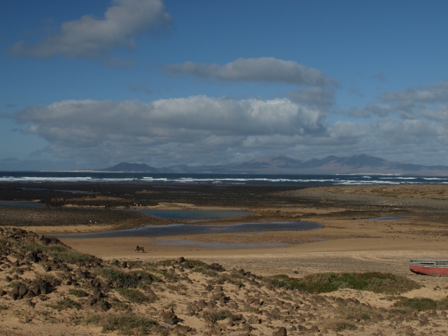  Natura impressionante 