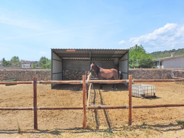 Junto al paddock de Casper