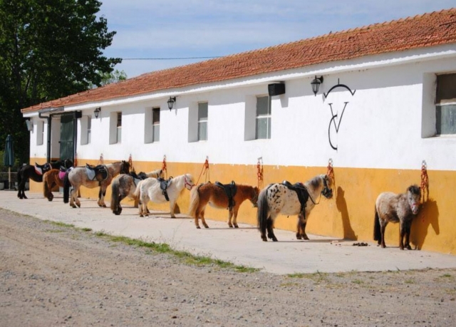 Ponys de Guadalix