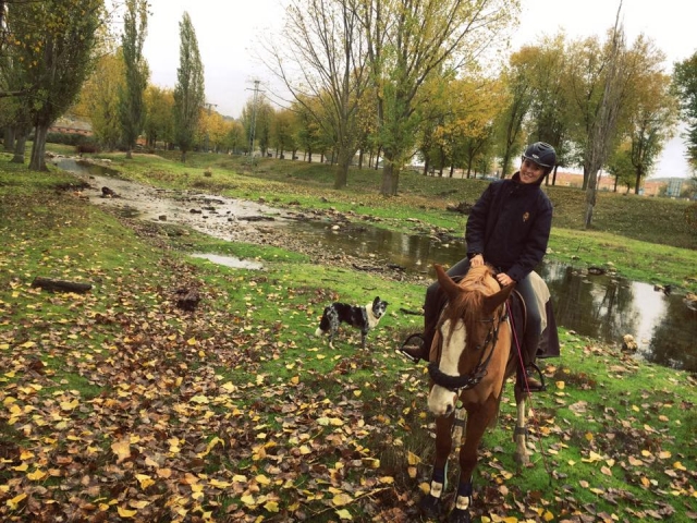 De ruta con el caballo y el perro