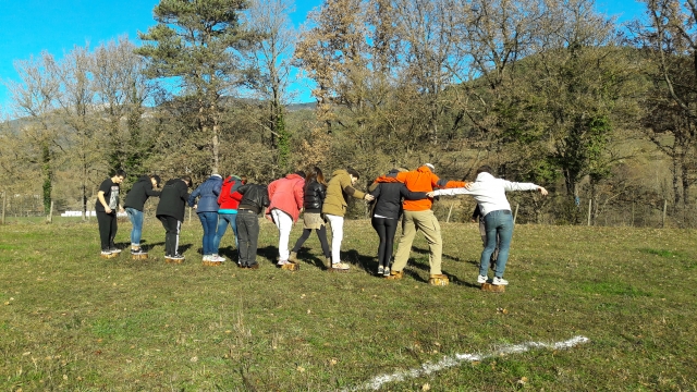  Attività di gruppo 