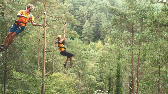  Tra gli alberi 