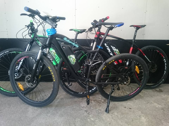  带电动辅助的自行车 