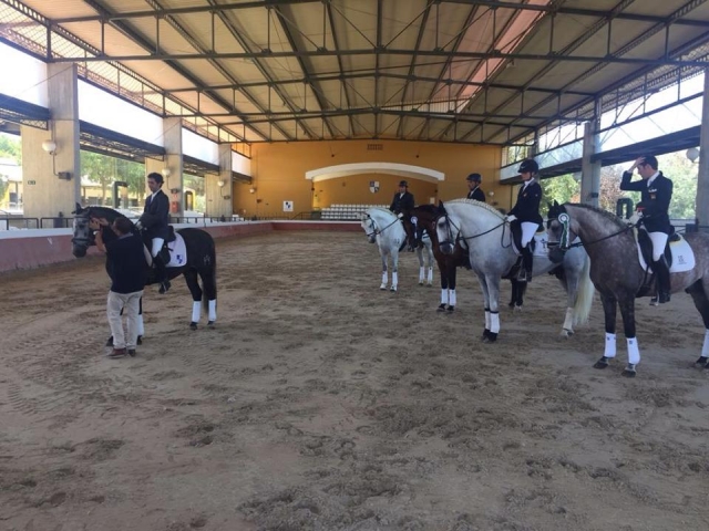 Mostrando la yeguada