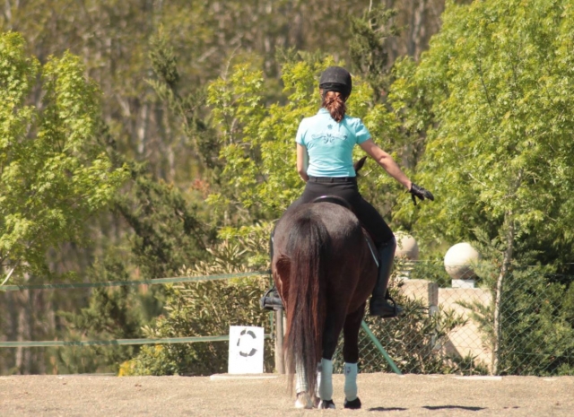 Ensenando ordenes al caballo