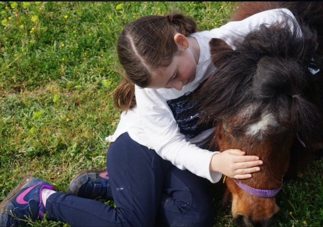 Acariciando al poni
