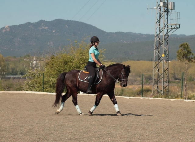 Centre Equestre La Selva