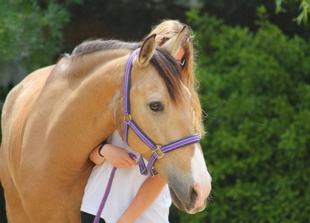 Sujetando al caballo por las riendas