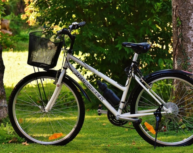 Bicicleta blanca en el parque