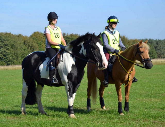 Horseback riding lessons 