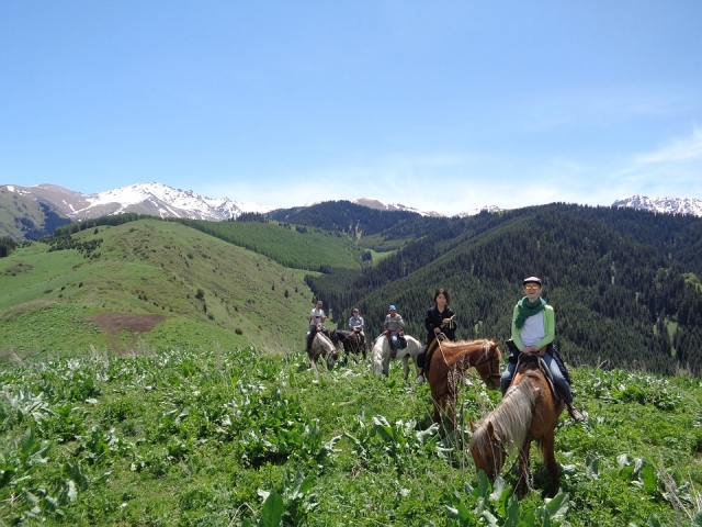  Horseback riding routes in the province of Seville 
