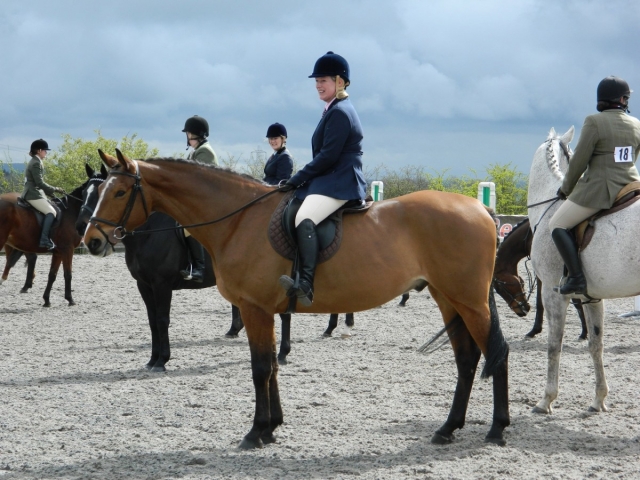  Dressage in Guillena 