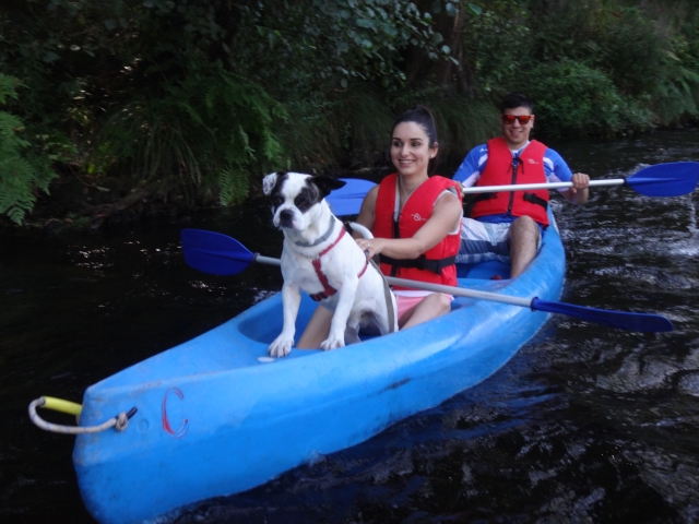 Perro al frente de la canoa