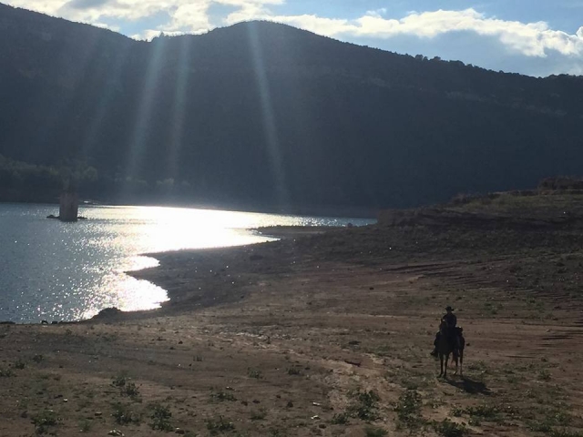 Paisaje a caballo en Collserola
