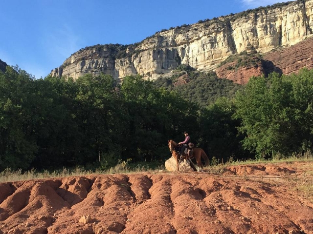 Diferentes cabalgamarras