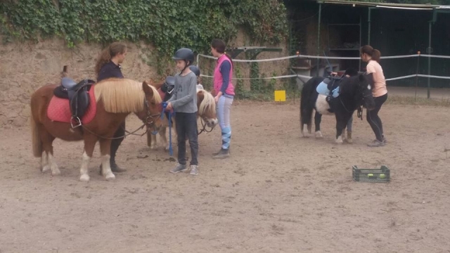 Actividades ecuestres para escolares