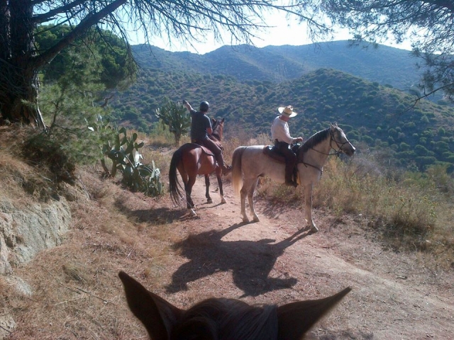 Rutas a caballo en Badalona
