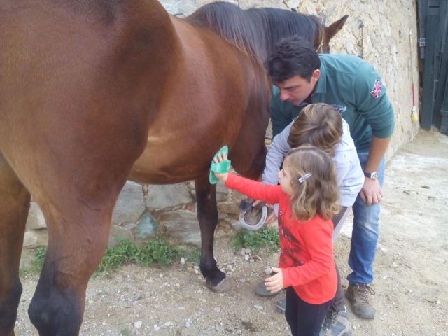 Actividades con caballos para ninos