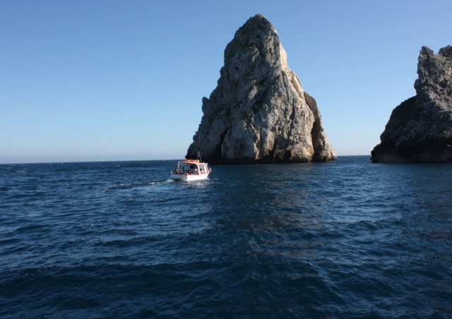 Crucero por la costa de lEstartit