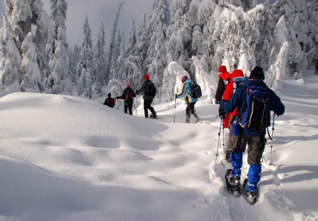  Outing with snowshoes in winter 