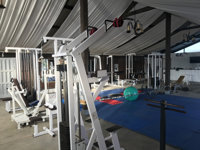 Gym, yoga 