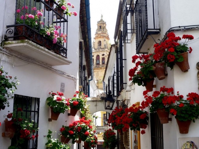 Calle cordobesa